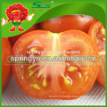 Cerate certifiée biologique tomate tomate fraîche rouge